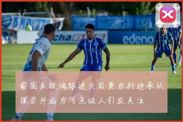 前国米极端球迷头目费尔科迪承认谋杀并成为污点证人引发关注